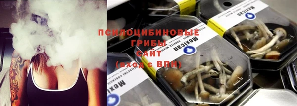 шишки Алексин