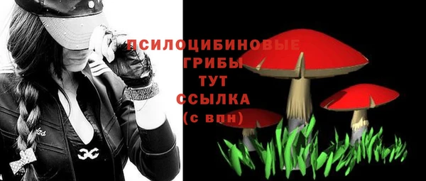 шишки Алексин