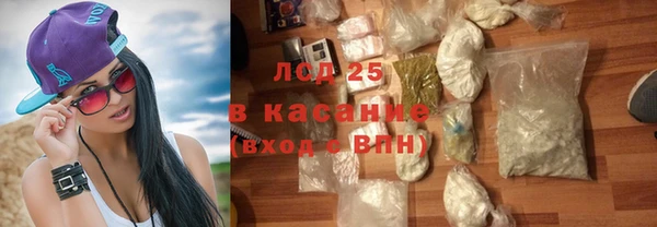 шишки Алексин