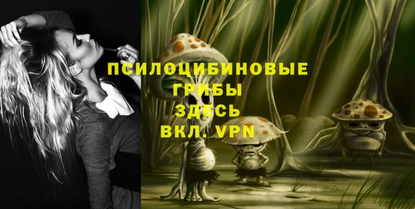 таблы Алексеевка